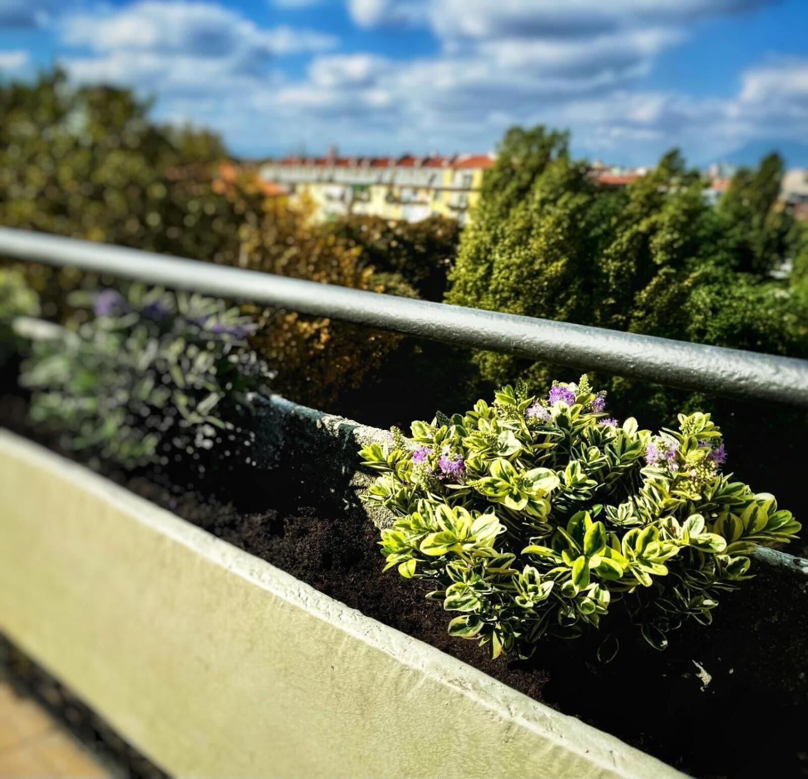 Appartement Gianduja - Attico Con Terrazzo à Turin Extérieur photo